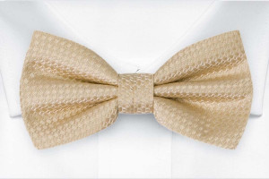 WEDLOCK Champagne Fliege